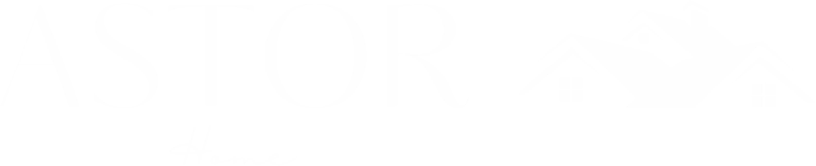 Astor Home